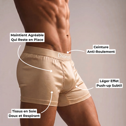 Lot de 4 Boxers en Soie Dionys™
