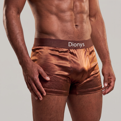 Lot de 4 Boxers en Soie Dionys™