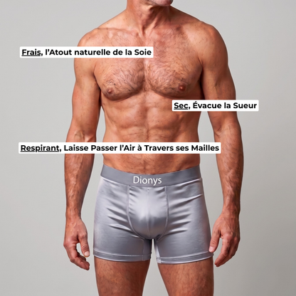 Lot de 4 Boxers en Soie Dionys™